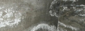 Efflorescence sur la fondation