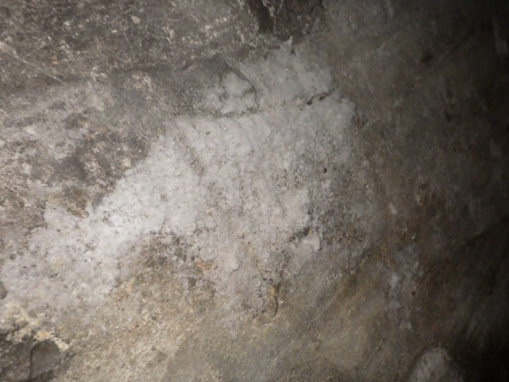 Salpêtre sur une fondation de bâtiment sons forme de mousse blanche