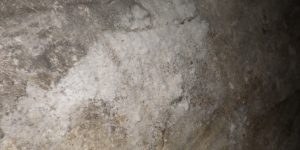 Salpêtre sur une fondation de bâtiment sons forme de mousse blanche